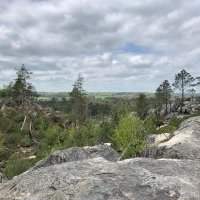 Randonnée en forêt de Fontainebleau - Jeudi 10 juin 2021 09:00-16:30